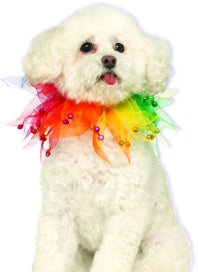 Pets Collar - Various Colors