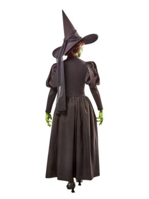 Womens Wizard of Oz Deluxe Wicked Witch Costume