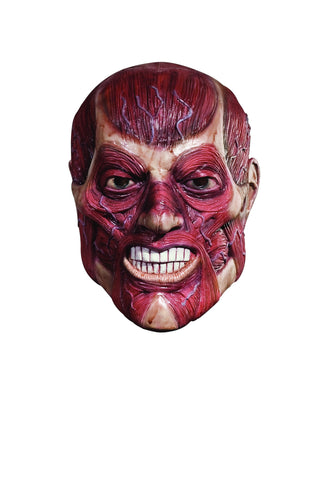 Skinner Mask - HalloweenCostumes4U.com - Accessories