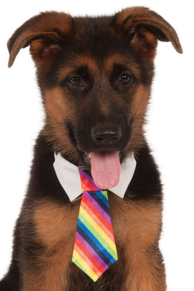 Pets Formal Tie Costume - Various Colors