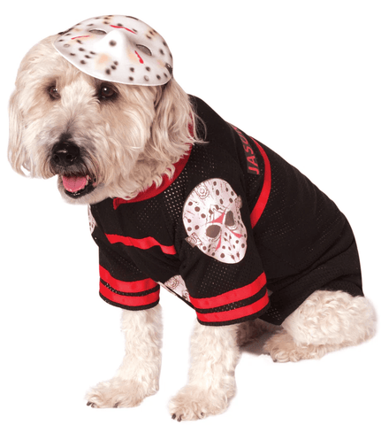 Frightful! Friday the 13th Costumes Fit for a Killer!