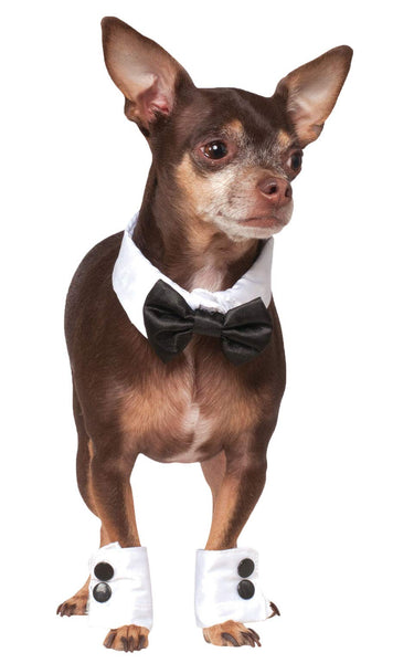 Pets Bowtie, Collar, and Cuff Accessory Set - HalloweenCostumes4U.com - Pet Costumes & Accessories