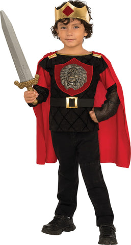 Boys Little Knight Costume - Rubies Costumes & Accessories - HalloweenCostumes4U.com - Kids Costumes