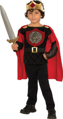 Boys Little Knight Costume