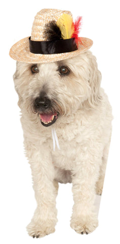 Pets Fedora Hat with Feather Costume Accessory - HalloweenCostumes4U.com - Pet Costumes & Accessories