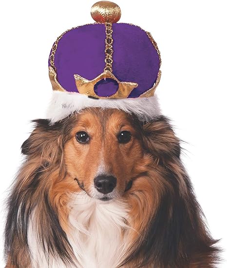 Pet's Mardi Gras King Crown - Rubies Costumes & Accessories - HalloweenCostumes4U.com - Pet Costumes & Accessories
