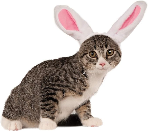 Pets Bunny Ears Costume Accessory - Rubies Costumes & Accessories - HalloweenCostumes4U.com - Pet Costumes & Accessories