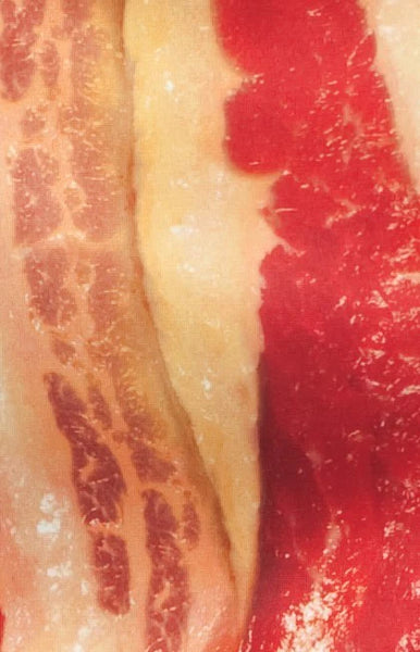 Adults Bacon Costume close-up of bacon
