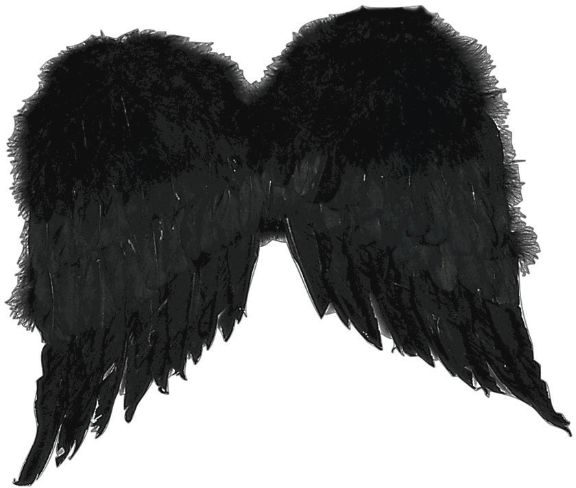  Black Feather Wings Costume Accessory features a bold pair of layered black feather wings designed in a classic angel‑inspired shape, with densely packed faux feathers that create a full, textured appearance; finished with soft feather trim along the top edge and elastic shoulder straps at the back, allowing the wings to sit securely and remain clearly visible while worn