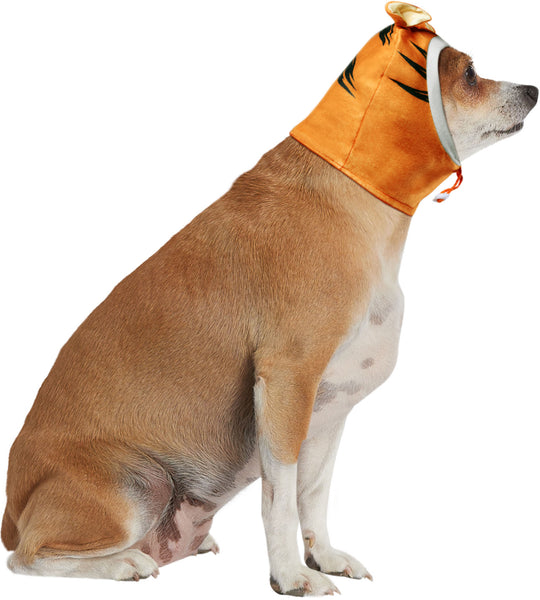 Chihuahua modeling Pets Disney Winnie the Pooh Tigger Headpiece Costume Accessory featuring a soft orange fabric hood designed to capture Tigger’s playful character look, complete with tall, rounded ears, side view