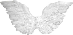 Alas de ángel de plumas pequeñas