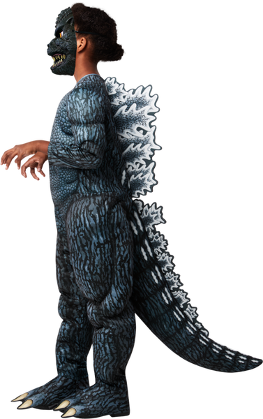 Kids Classic Godzilla Costume