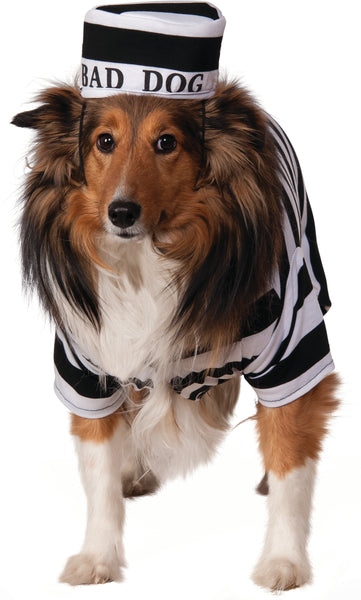 Collie dog wearing Pets Bad Dog Prisoner Costume, featuring