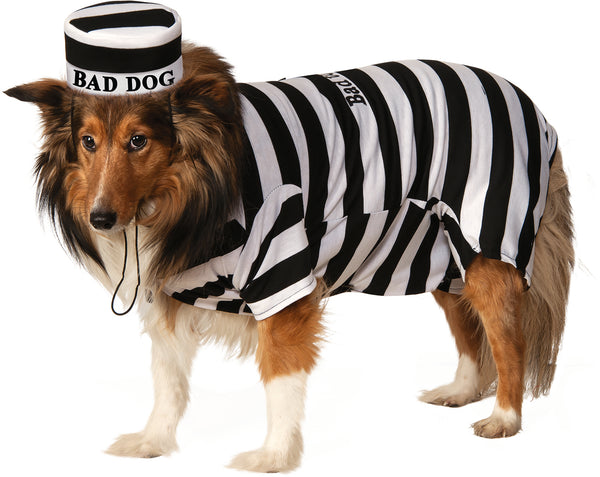 Collie dog modeling the Pets Bad Dog Prisoner Costume featuring