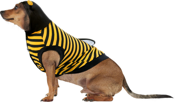 Miniature Pinscher side view wearing the Pets Buzzing Bumble Bee Costume featuring a striped, yellow‑and‑black one‑piece, hooded tunic styled to resemble a classic cartoon bumblebee, with bold horizontal stripes across the body with an attached black hood fitted with soft antennae tipped in yellow, plus a pair of translucent mesh bee wings secured on the back that add dimension and complete the buzzing look