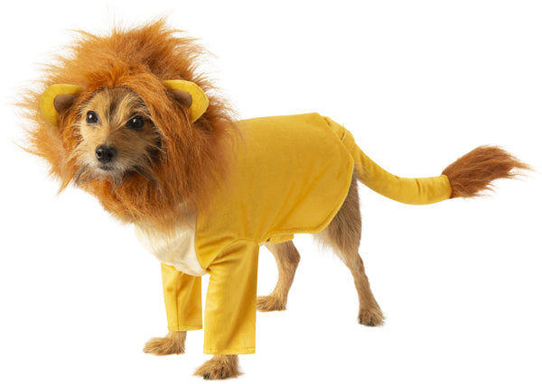 Terrier wearing the Pets Disney Lion King Simba Costume featuring a plush golden‑yellow full‑body outfit styled to resemble young Simba, designed with a smooth lion‑cub body and attached pant legs for a clean, continuous silhouette; includes a detailed headpiece with a soft faux‑fur mane in warm brown tones, rounded ears with tan inner accents, and a sculpted opening that frames the pet’s face. The costume is finished with a long tail extending from the back with a fluffy brown tuft at the tip