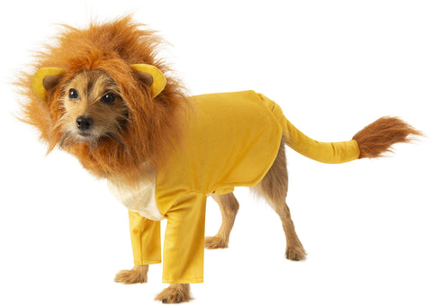 Terrier wearing the Pets Disney Lion King Simba Costume featuring a plush golden‑yellow full‑body outfit styled to resemble young Simba, designed with a smooth lion‑cub body and attached pant legs for a clean, continuous silhouette; includes a detailed headpiece with a soft faux‑fur mane in warm brown tones, rounded ears with tan inner accents, and a sculpted opening that frames the pet’s face. The costume is finished with a long tail extending from the back with a fluffy brown tuft at the tip