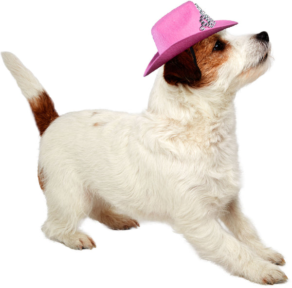 Terrier wearing a Pets Pink Cowboy Hat With Tiara a bright bubblegum‑pink cowboy hat constructed from soft felt‑style material with a structured crown and gently curved brim; the front of the hat is decorated with a sparkling silver tiara embellishment made from rhinestone‑style gems arranged in a classic crown pattern, creating a bold combination of Western flair and royal sparkle