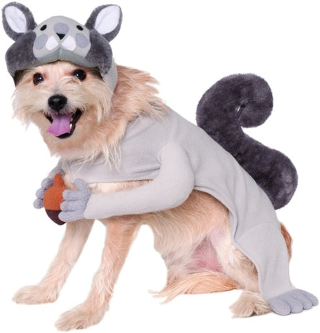 Pets Gray Squirrel with Acorn Costume - Rubies Costumes & Accessories - HalloweenCostumes4U.com - Pet Costumes & Accessories