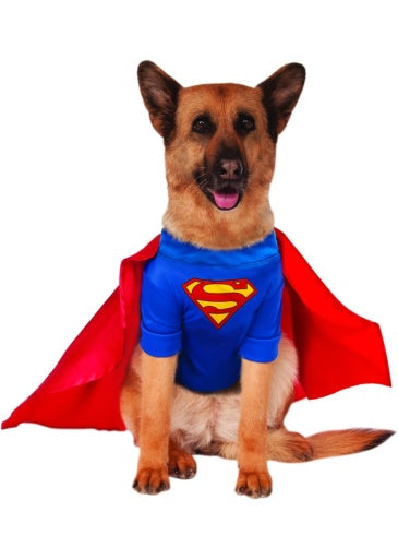 Pets DC Universe Superman Shirt & Cape Costume - Rubies Costumes & Accessories - HalloweenCostumes4U.com - Pet Costumes & Accessories