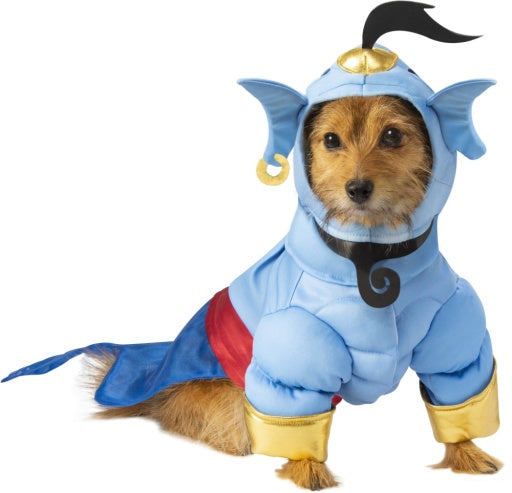 Pets Disney's Aladdin Genie Costume