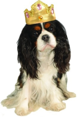 Pets Gold Tiara with Pink Stones Costume Hat Accessory - HalloweenCostumes4U.com - Pet Costumes & Accessories