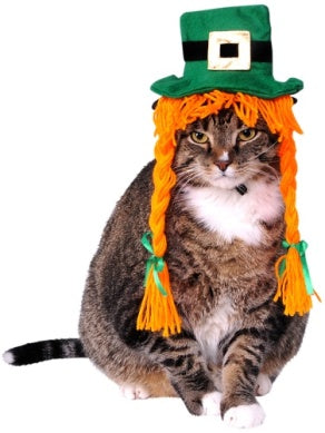 Pets St. Patty's Day Costume Hat with Braids - HalloweenCostumes4U.com - Pet Costumes & Accessories
