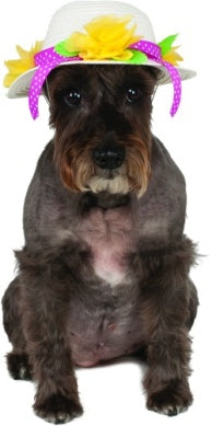 Pets Kentucky Derby or Easter Hat Costume Accessory - HalloweenCostumes4U.com - Pet Costumes & Accessories