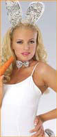 Sequin Bunny Kit - Rubies Costumes & Accessories - HalloweenCostumes4U.com - Accessories