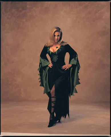 Womens Enchantra Costume - Rubies Costumes & Accessories - HalloweenCostumes4U.com - Adult Costumes