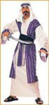 Mens Desert Prince Costume - Rubies Costumes & Accessories - HalloweenCostumes4U.com - Adult Costumes