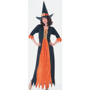 Womens Gothic Witch Costume - Rubies Costumes & Accessories - HalloweenCostumes4U.com - Adult Costumes