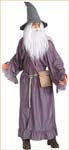Mens Lord of the Rings Gandalf Costume - Rubies Costumes & Accessories - HalloweenCostumes4U.com - Adult Costumes