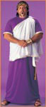 Mens Plus Size Julius Caesar Costume - Rubies Costumes & Accessories - HalloweenCostumes4U.com - Adult Costumes