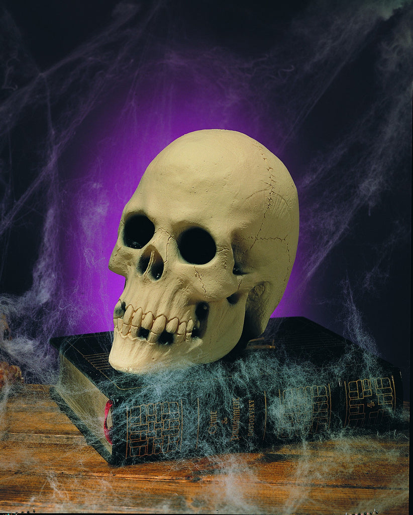 Skull Table Decoration - Rubies Costumes & Accessories - HalloweenCostumes4U.com - Decorations