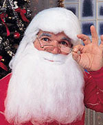 Santa Beard and Wig Set - Rubies Costumes & Accessories - HalloweenCostumes4U.com - Accessories