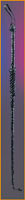 Riding Crop - Rubies Costumes & Accessories - HalloweenCostumes4U.com - Accessories