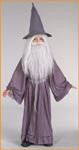 Boys Lord of the Rings Gandalf Costume - HalloweenCostumes4U.com - Kids Costumes