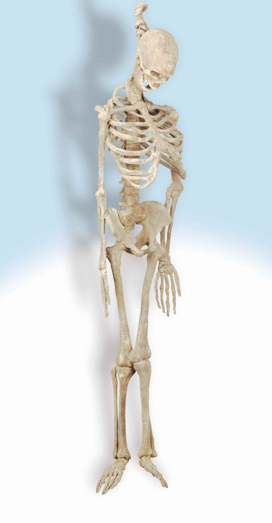 Skeleton Haunted House Hanging Props Horror Prop - Rubies Costumes & Accessories - HalloweenCostumes4U.com - Decorations