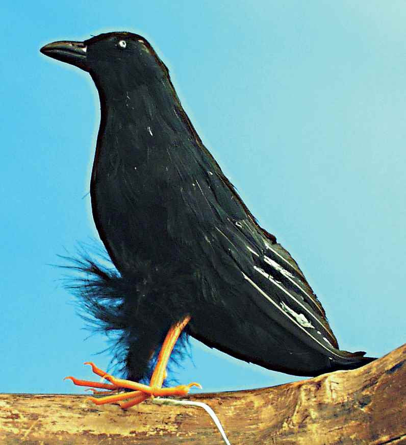 Raven Halloween Decoration 10 inch Raven - Rubies Costumes & Accessories - HalloweenCostumes4U.com - Decorations