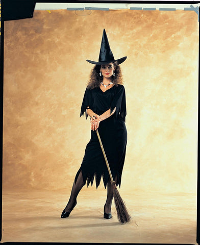 Womens Witch Costume - Rubies Costumes & Accessories - HalloweenCostumes4U.com - Adult Costumes
