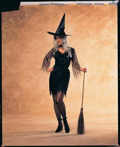 Womens Witch Costume - Rubies Costumes & Accessories - HalloweenCostumes4U.com - Adult Costumes