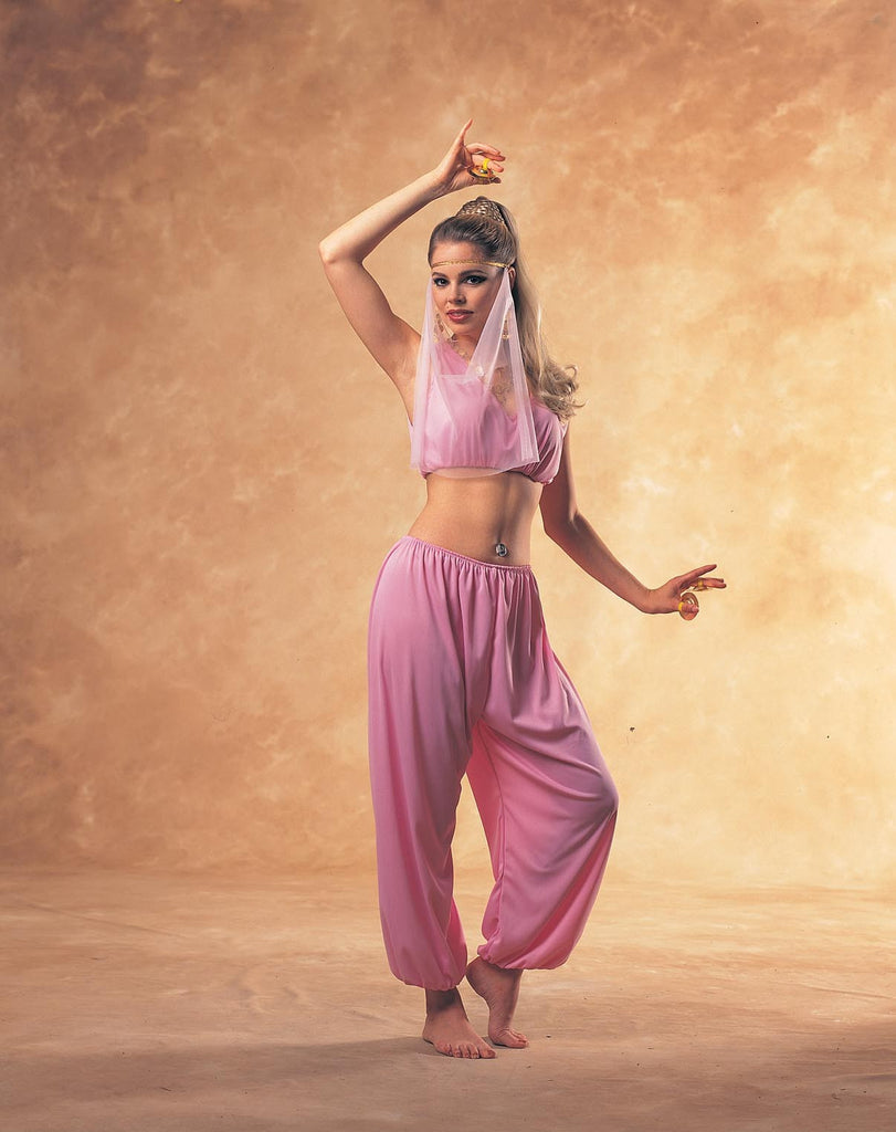 Womens Arabian Princess Costume - Rubies Costumes & Accessories - HalloweenCostumes4U.com - Adult Costumes