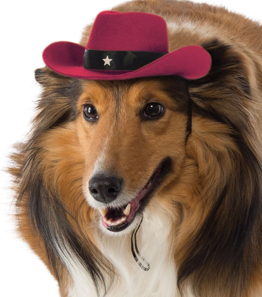 Pets Cowboy Hat - Various Colors