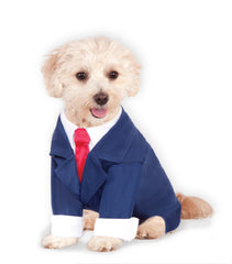 Traje de negocios para mascotas