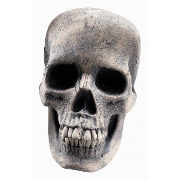 Human Skull Prop - Rubies Costumes & Accessories - HalloweenCostumes4U.com - Decorations