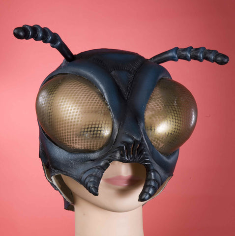 Fly Costume Mask Man-Sized Fly Mask - HalloweenCostumes4U.com - Accessories