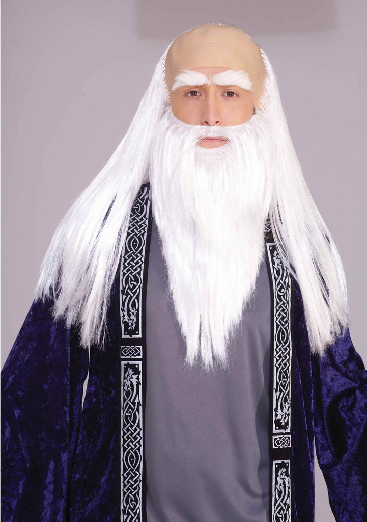 Wizard Costume Wig and Beard - Rubies Costumes & Accessories - HalloweenCostumes4U.com - Accessories