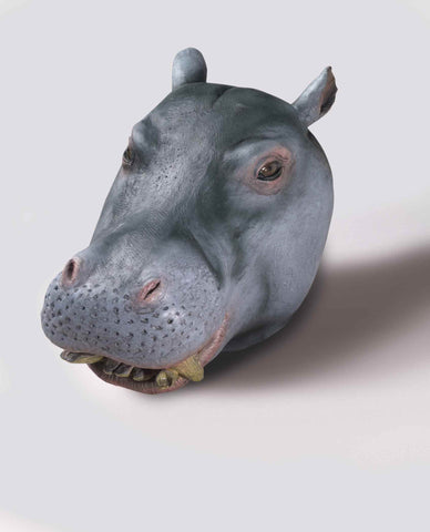 Hippo Masks Hippo Halloween Mask - HalloweenCostumes4U.com - Accessories