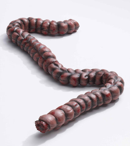Bloody Intestines Prop - Rubies Costumes & Accessories - HalloweenCostumes4U.com - Decorations